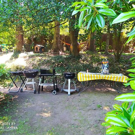 "La Selvetta" Bed And Breakfast Buguggiate Екстериор снимка