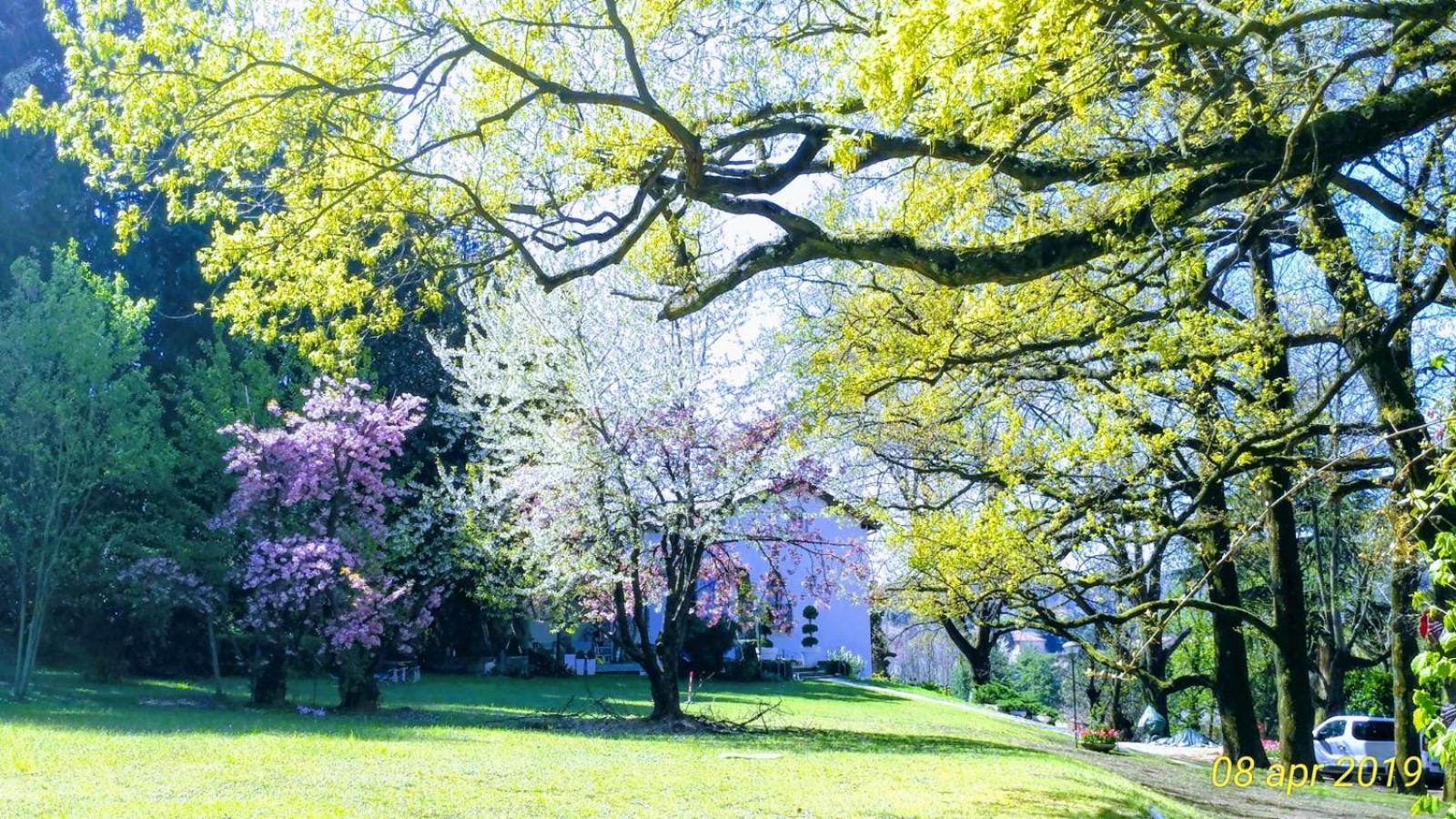 "La Selvetta" Bed And Breakfast Buguggiate Екстериор снимка