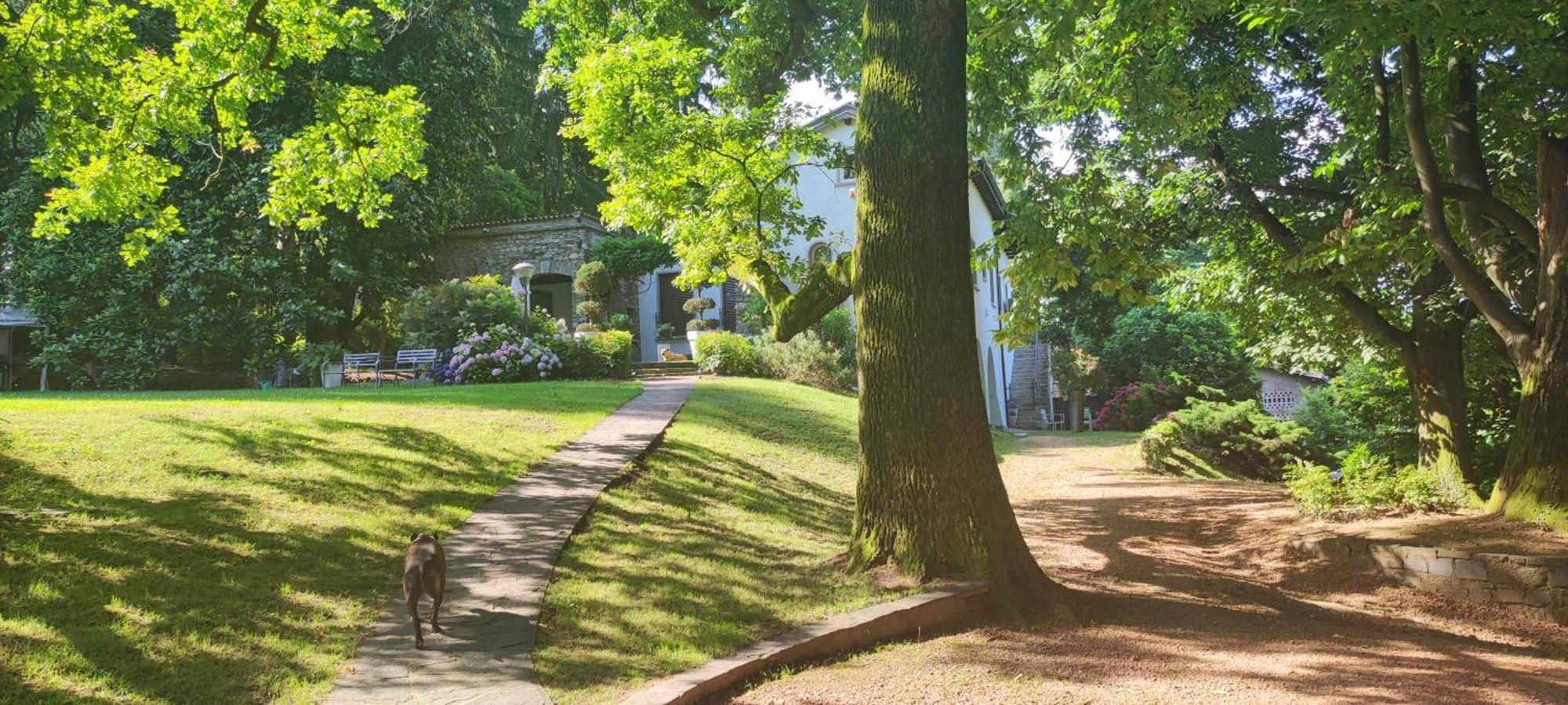 "La Selvetta" Bed And Breakfast Buguggiate Екстериор снимка